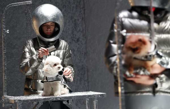Модели и собаки представляют коллекцию Moncler на неделе моды в Милане - Sputnik Азербайджан