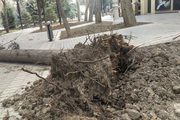 Сильный ветер оставил без крыши и света жителей Хачмаза - фото Сильный ветер оставил без крыши и света жителей Хачмаза - фото - Sputnik Азербайджан