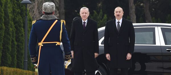 Встреча Президента Азербайджана Ильхама Алиева и Президента Турции Реджепа Тайипа Эрдогана Встреча Президента Азербайджана Ильхама Алиева и Президента Турции Реджепа Тайипа Эрдогана - Sputnik Азербайджан
