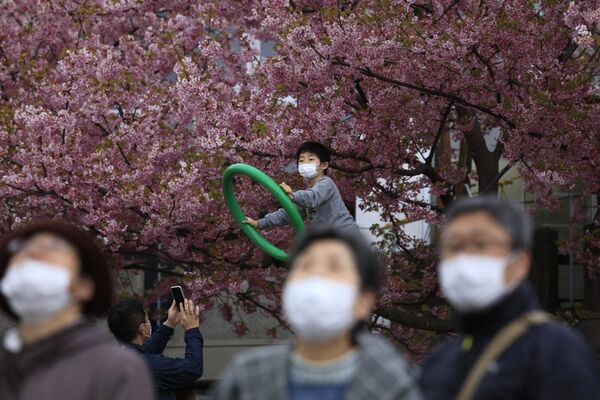 Tibbi maskada olan insanlar Yaponiyada sakura festivalında - Sputnik Azərbaycan