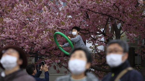 На фестивале цветения вишни в Японии  - Sputnik Азербайджан