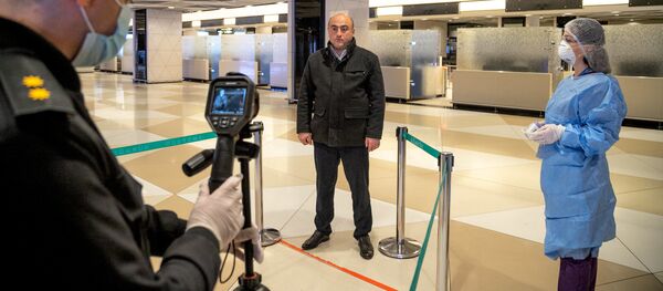 Ситуация в связи с эпидемиологической обстановкой в Бакинском аэропорту - Sputnik Азербайджан
