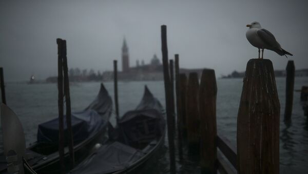 Вид на Венецию, фото из архива - Sputnik Azərbaycan