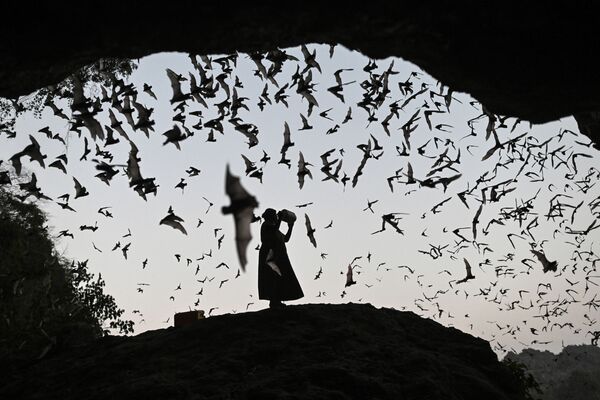 Женщина отпугивает летучих мышей от силовой башни в Хпа-Ан, Мьянма - Sputnik Азербайджан