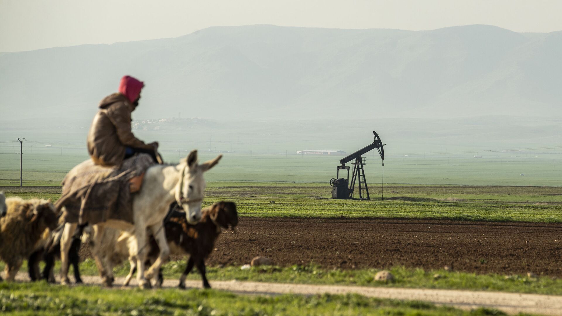 Пастух на осле едет мимо нефтяного месторождения в Сирии - Sputnik Азербайджан, 1920, 20.04.2023