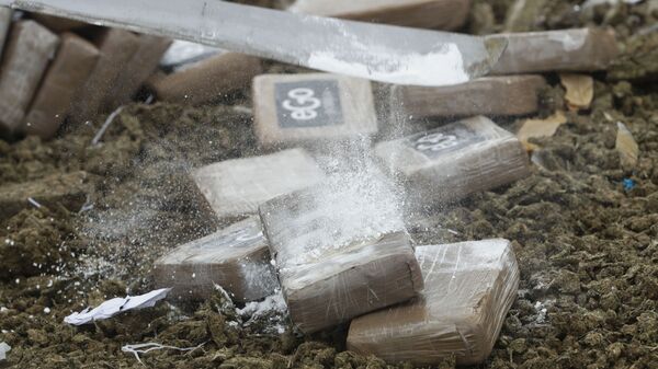 Уничтожение наркотиков, фото из архива - Sputnik Азербайджан