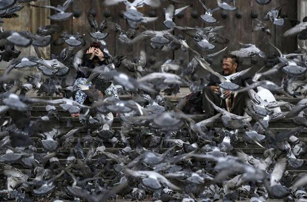 Стая голубей на улице в Боготе - Sputnik Азербайджан