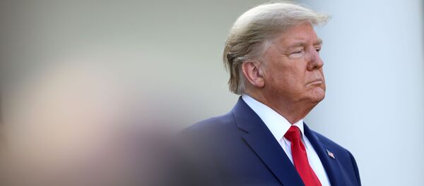 Президент США Дональд Трамп, фото из архива Президент США Дональд Трамп, фото из архива - Sputnik Азербайджан