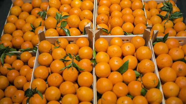 Продажа апельсинов, фото из архива - Sputnik Азербайджан