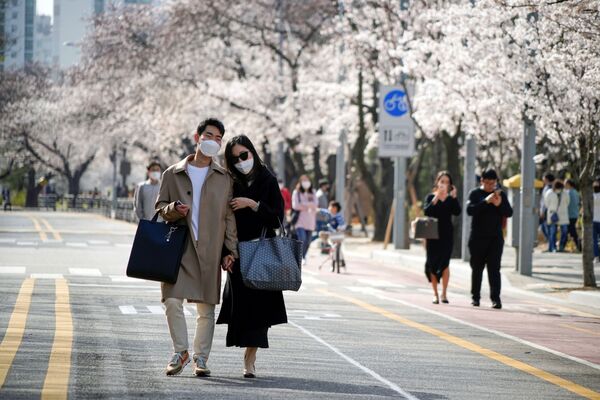 Пара в медицинских масках на фоне цветущей Сакуры на одной из улиц Сеула, Южная Корея - Sputnik Азербайджан