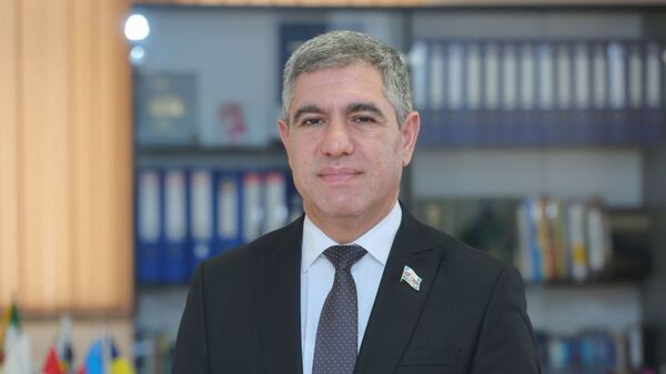 Milli Məclisin deputatı, iqtisadçı ekspert Vüqar Bayramov - Sputnik Azərbaycan