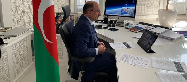 Абульфас Гараев во время онлайн-совещании Абульфас Гараев во время онлайн-совещании - Sputnik Азербайджан