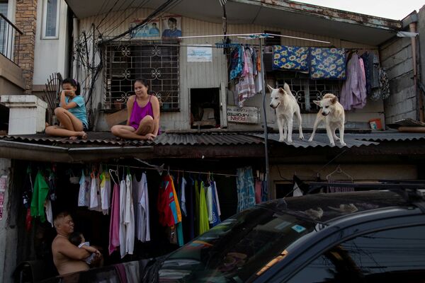 Girls hang out with their dogs on the roof of their house as the Philippine government enforces home quarantine to contain the coronavirus disease (COVID-19) outbreak in Metro Manila, Philippines, - Sputnik Azərbaycan
