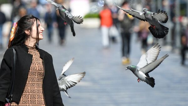 Девушка и голуби на одной из улиц в Баку - Sputnik Азербайджан