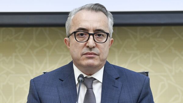 Пресс-секретарь Кабинета министров Азербайджана Ибрагим Мамедов, фото из архива  - Sputnik Azərbaycan