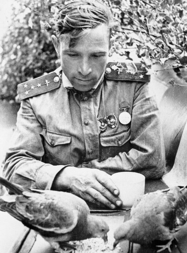 Штурман 263-го истребительного авиационного полка, капитан Виктор Васильевич Попов, 1943 год - Sputnik Азербайджан