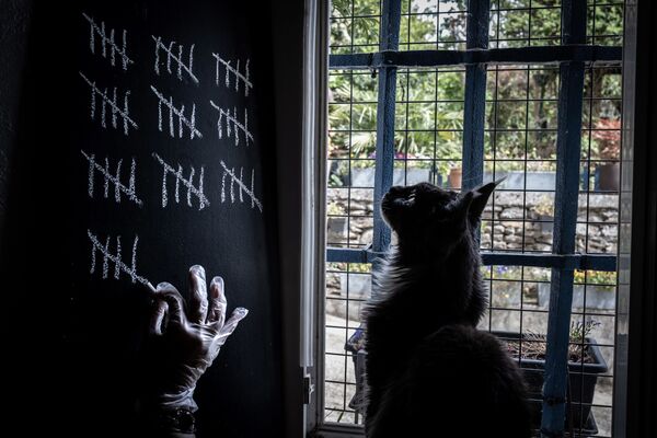 Человек, за которым наблюдает его кошка, отмечает мелом дни, проведенные в самоизоляции дома под Лионом, Франция - Sputnik Азербайджан