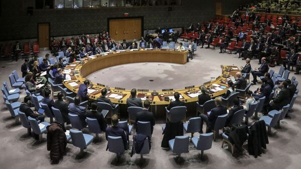 Заседание Совета безопасности ООН - Sputnik Azərbaycan