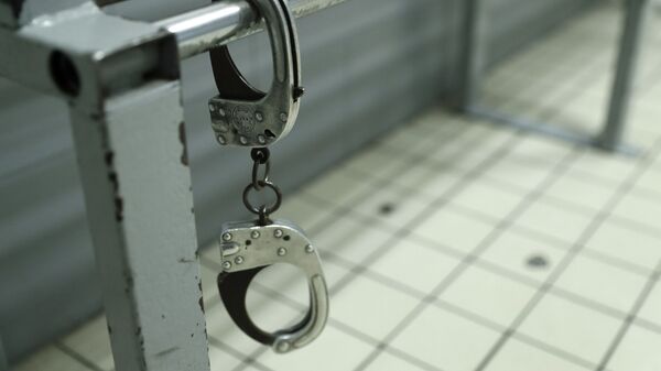 Обвиняется в хищении: Германия экстрадировала гражданина Азербайджана на родину