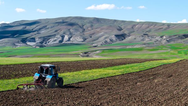 Фермер, фото из архива - Sputnik Азербайджан