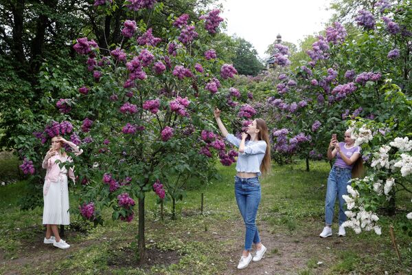 Девушки у цветущей сирени в парке в Киеве, Украина  - Sputnik Азербайджан