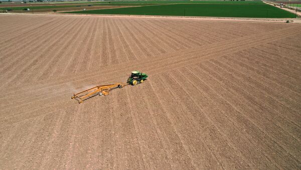  Трактор обрабатывает землю, фото из архива - Sputnik Азербайджан
