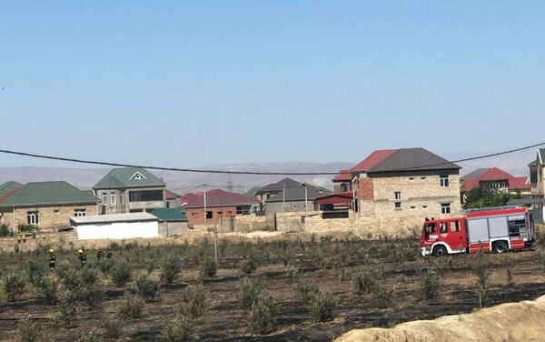 Пожар на территории поселка Сарай Абшеронского района - Sputnik Азербайджан