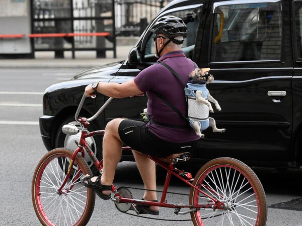 Мужчина  на велосипеде в Лондоне с собакой на спине, Великобритания - Sputnik Азербайджан