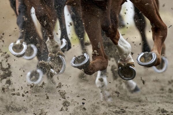 Копыта лошадей, участвующих в скачках Chelmsford City Racecourse - Sputnik Азербайджан