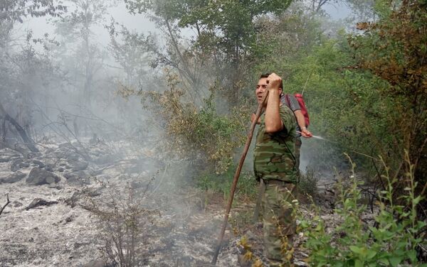 Пожар в предгорных лесах  - Sputnik Азербайджан