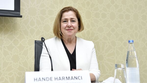 Представитель Всемирной организации здравоохранения (ВОЗ) в Азербайджане Ханде Харманджи - Sputnik Azərbaycan